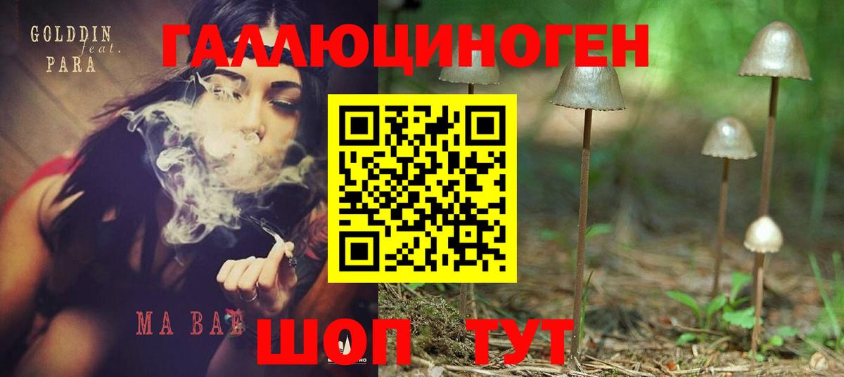 Галлюциногенные грибы Cubensis Электрогорск